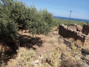 Kissamos Grundstück in der Nähe des Strandes von Falassarna Grundstück kaufen